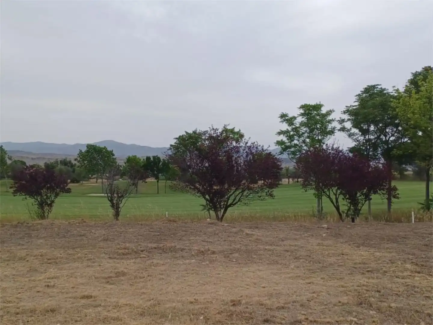 Constructible Land for sale in Calle Sierra de Vicor, 24, Augusta Golf - La Charluca Constructible Land for sale in Calatayud
