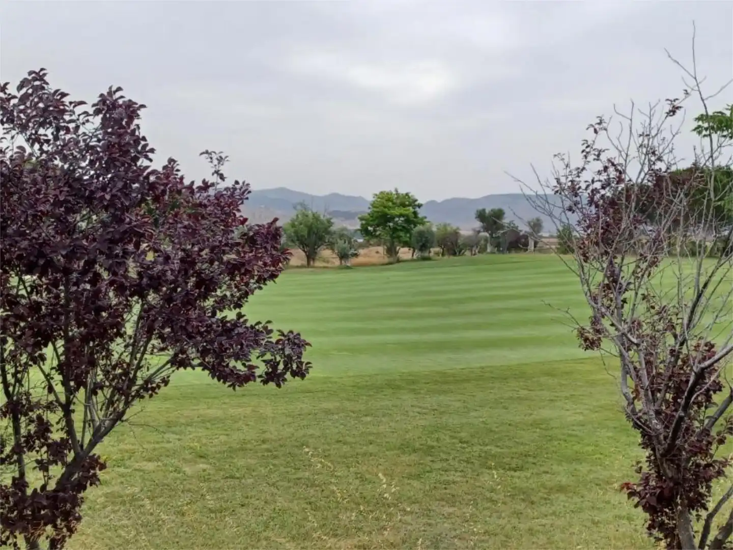 Constructible Land for sale in Calle Sierra de Vicor, 24, Augusta Golf - La Charluca Constructible Land for sale in Calatayud