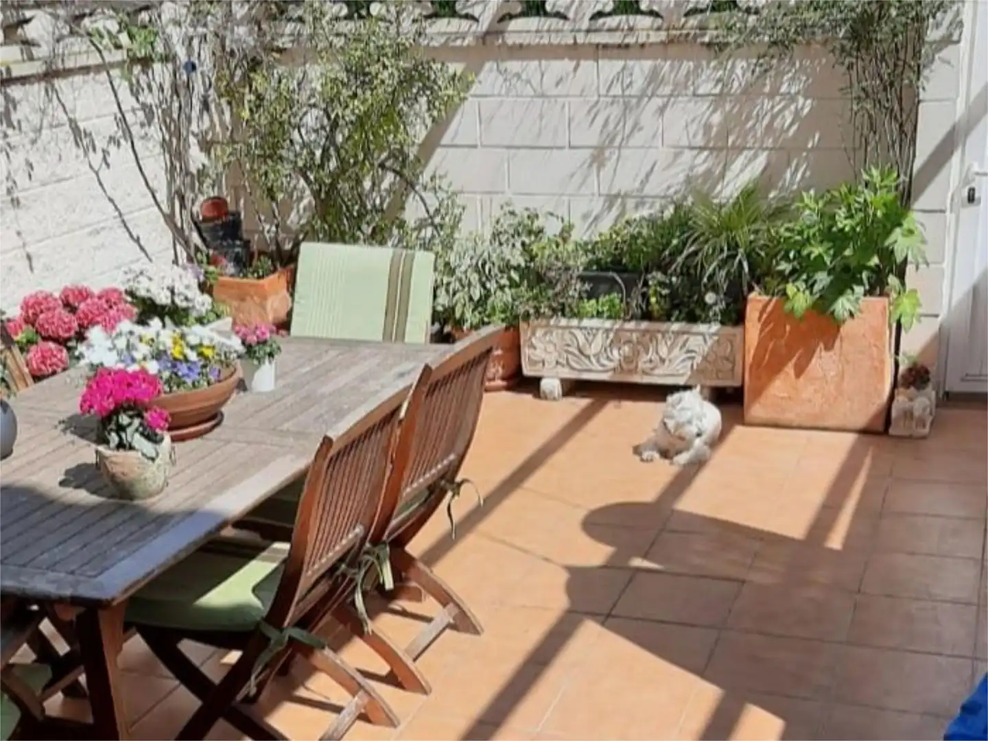 Detached homes for rent in Carrer del Salabre, 9, Cabo de las Huertas Detached homes for rent in Carrer del Salabre, 9, Cabo de las Huertas