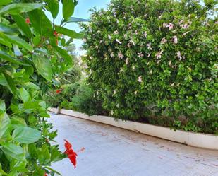Garden of Flat to rent in Dénia  with Air Conditioner and Balcony