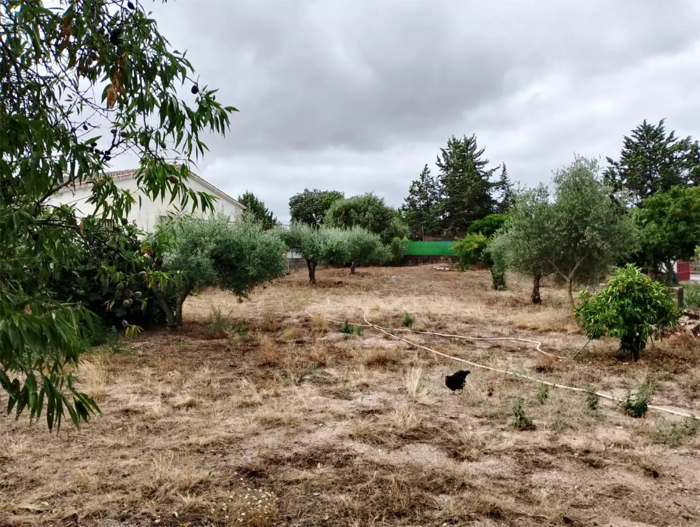 Casa o chalet en venta en Malpartida de Cáceres con Terraza, Piscina y Balcón