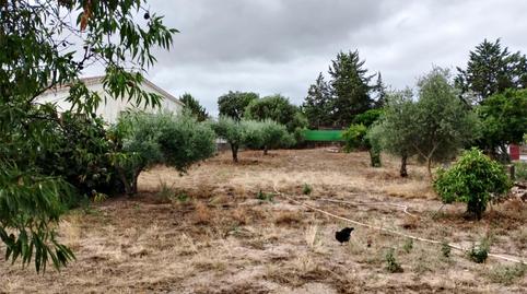 Casa o xalet en venda a Urbanizacion Arenas, 156, Malpartida de Cáceres, Cáceres - imatge 3 Foto 3 de Casa o xalet en venda a Urbanizacion Arenas, 156, Malpartida de Cáceres, Cáceres