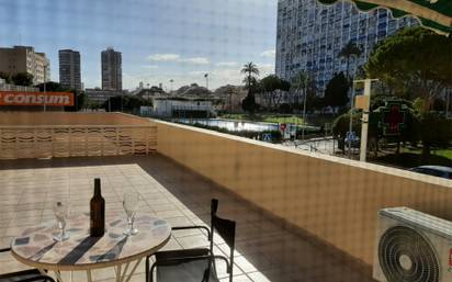 Apartamento en alquiler en juzgados - plaza de tor