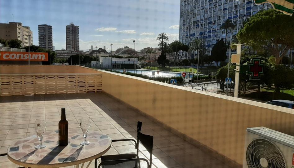 Foto 1 de Apartament de lloguer a Avenida de Portugal, 4, Juzgados - Plaza de Toros, Alicante