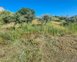 Constructible Land for sale in Valencia de Alcántara