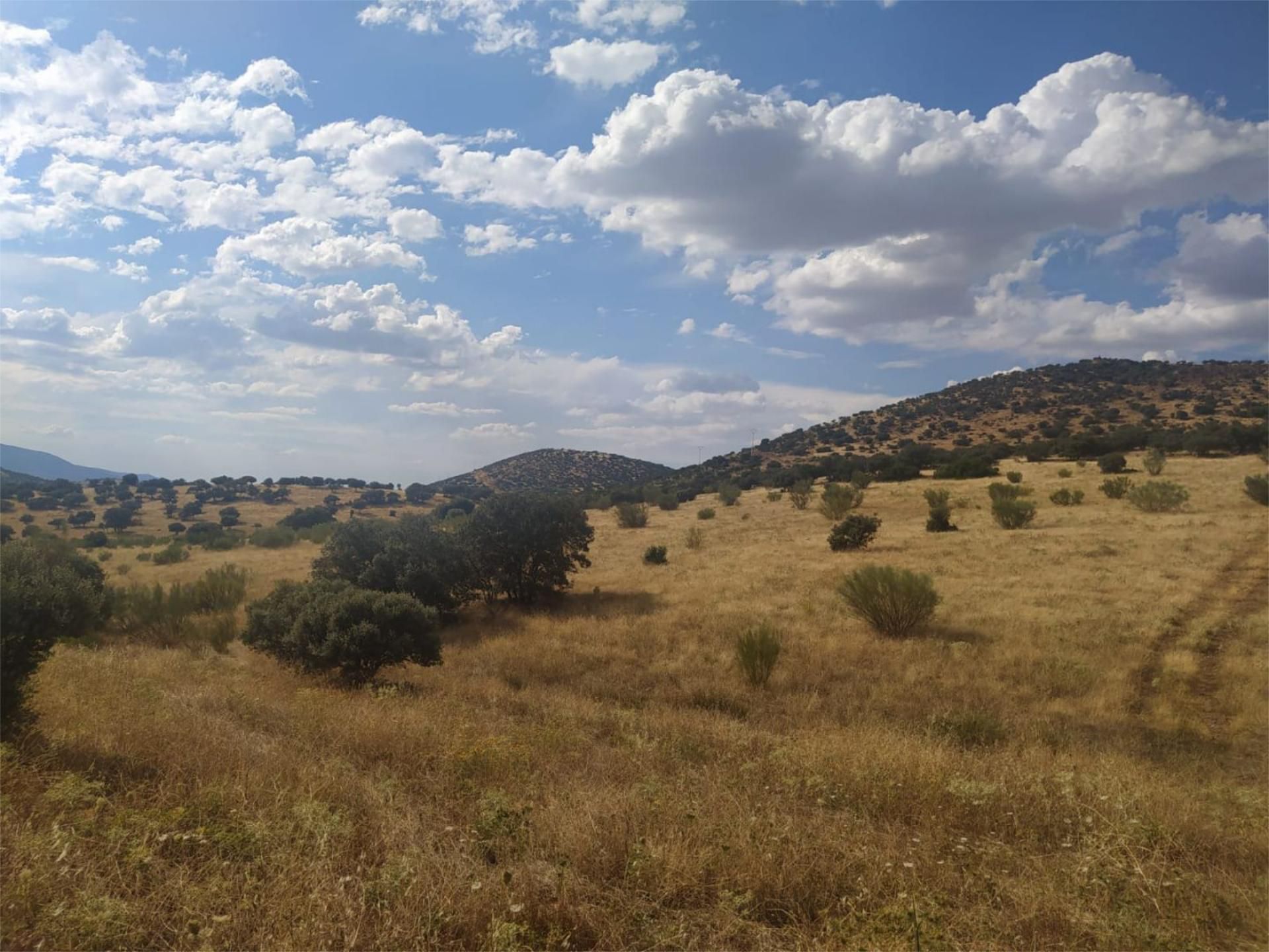 Country house for sale in Viso del Marqués