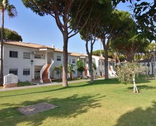 Vista exterior de Apartament en venda en Chiclana de la Frontera amb Terrassa