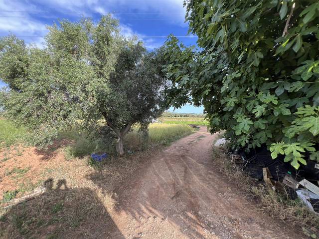 Terreno en Venta en Santa Oliva