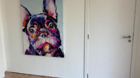 Photo 4 of Office to rent in Carrer Església, 2, Palmanova, Illes Balears