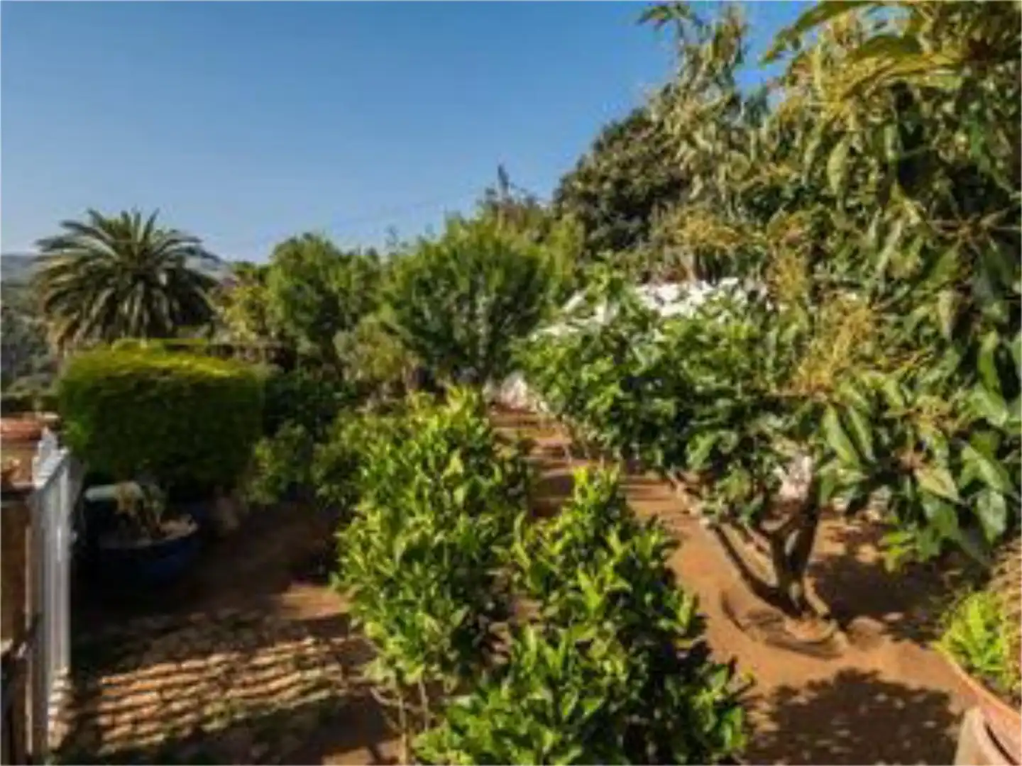 Jardí de Casa o xalet en venda en Santa Brígida amb Aire condicionat, Parquet i Terrassa