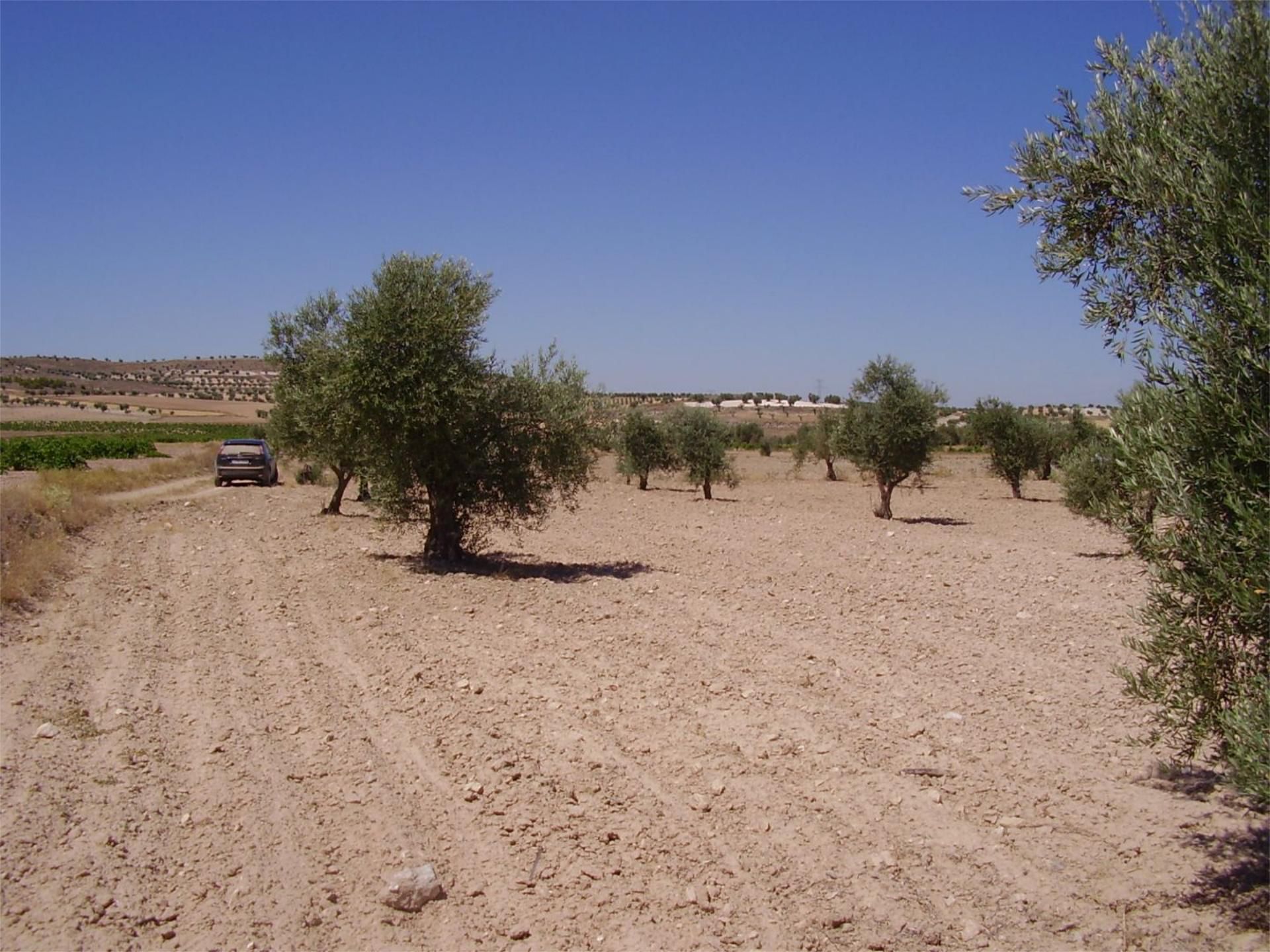 Terreno en venta en Villaconejos
