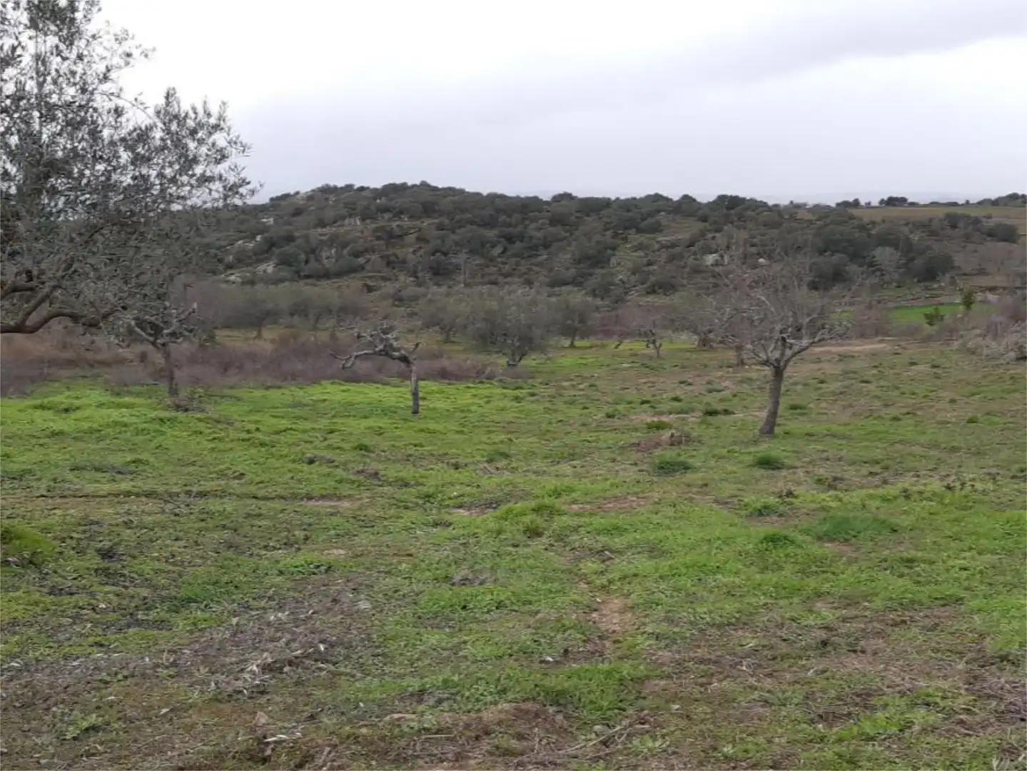Land for sale in Lugar Diseminados, 17, Fermoselle Land for sale in Fermoselle
