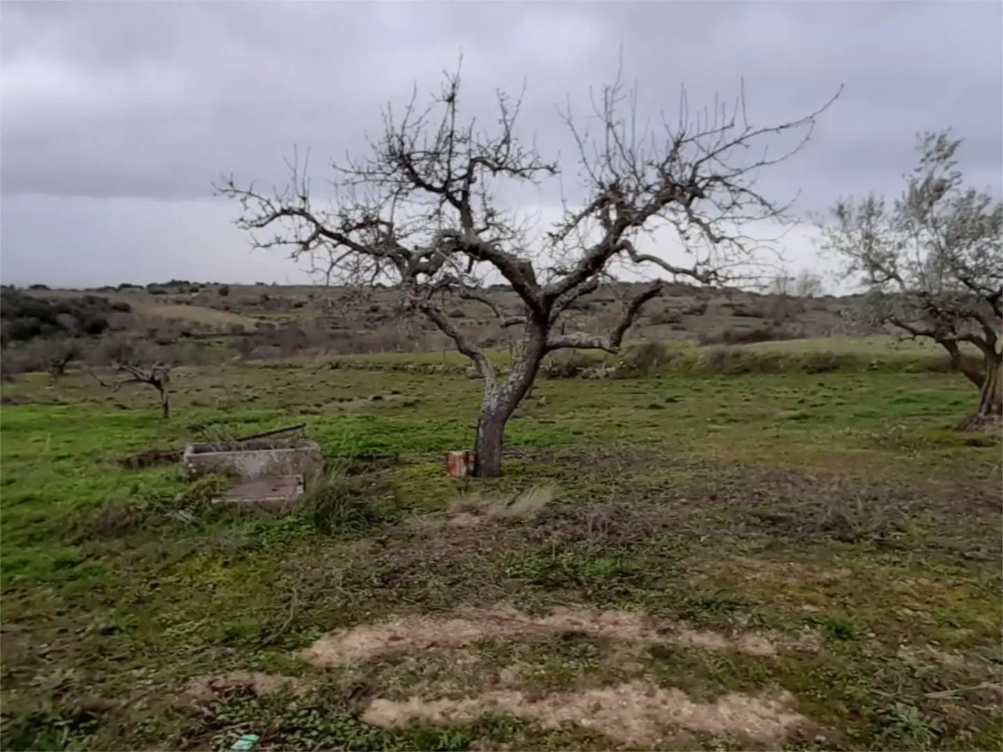 Land for sale in Lugar Diseminados, 17, Fermoselle Land for sale in Fermoselle