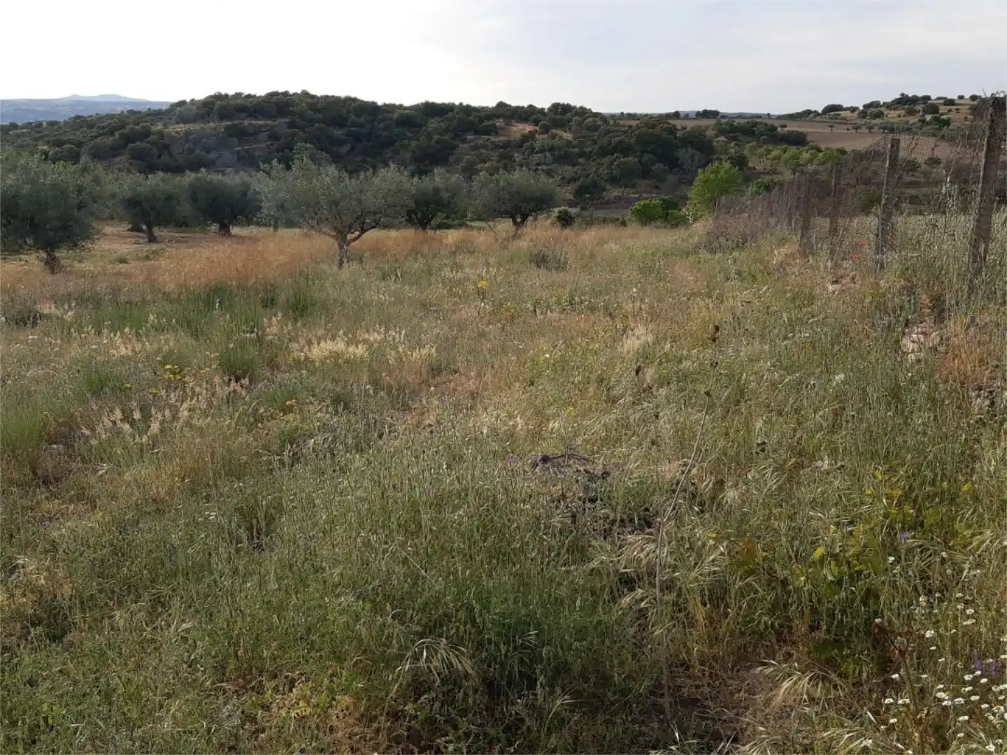 Land for sale in Lugar Diseminados, 17, Fermoselle Land for sale in Fermoselle