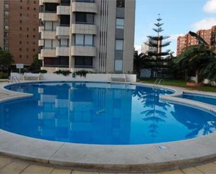 Piscina de Apartament de lloguer en Benidorm amb Terrassa i Piscina