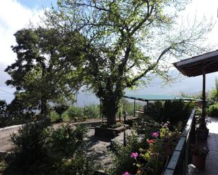 Garden of House or chalet for sale in La Orotava