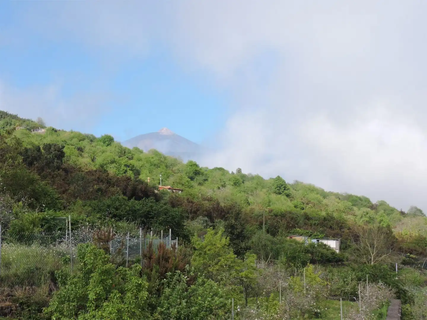 Flat for sale in Lugar el Balayo, 33, La Perdoma - San Antonio - Benijos Exterior view of Flat for sale in La Orotava with Private garden and Furnished