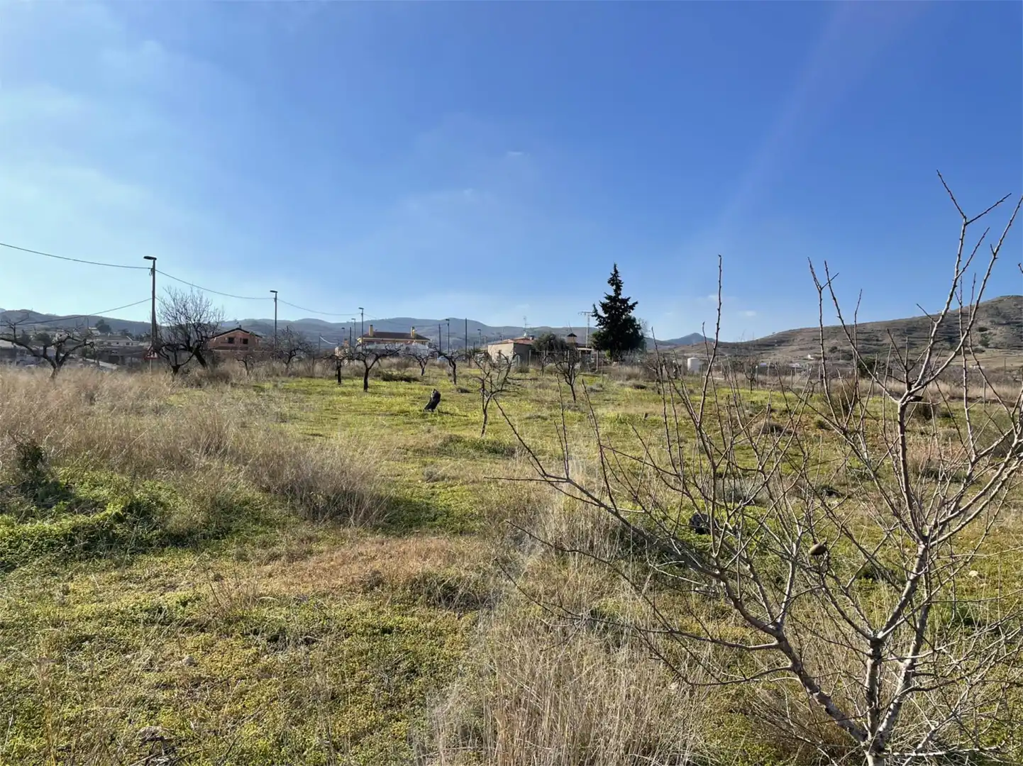 Non-constructible Land for sale in RM-E26, 9, Perín Non-constructible Land for sale in Cartagena