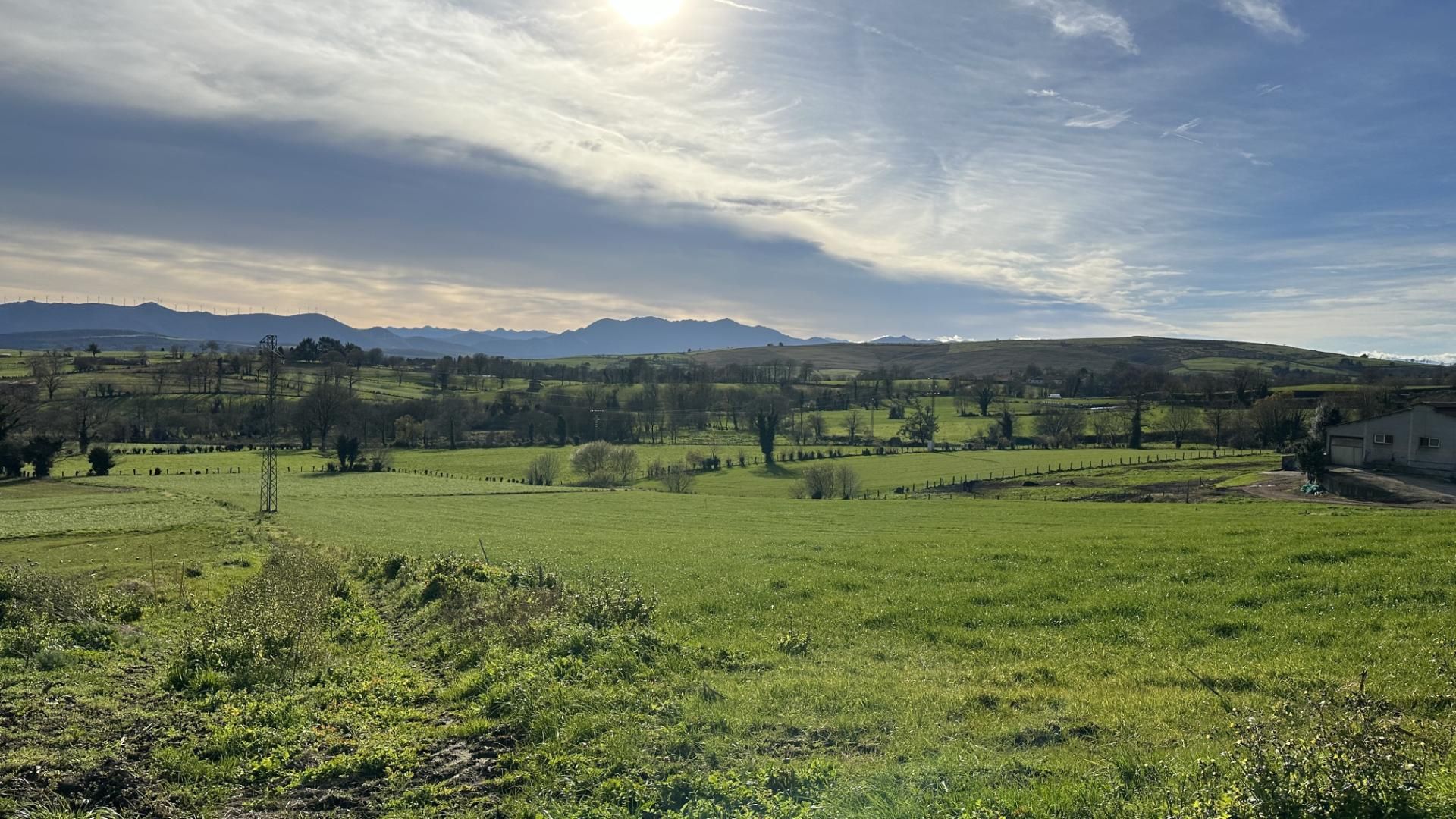 No Urbanitzable en venda en Tineo