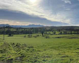 No Urbanitzable en venda en Tineo