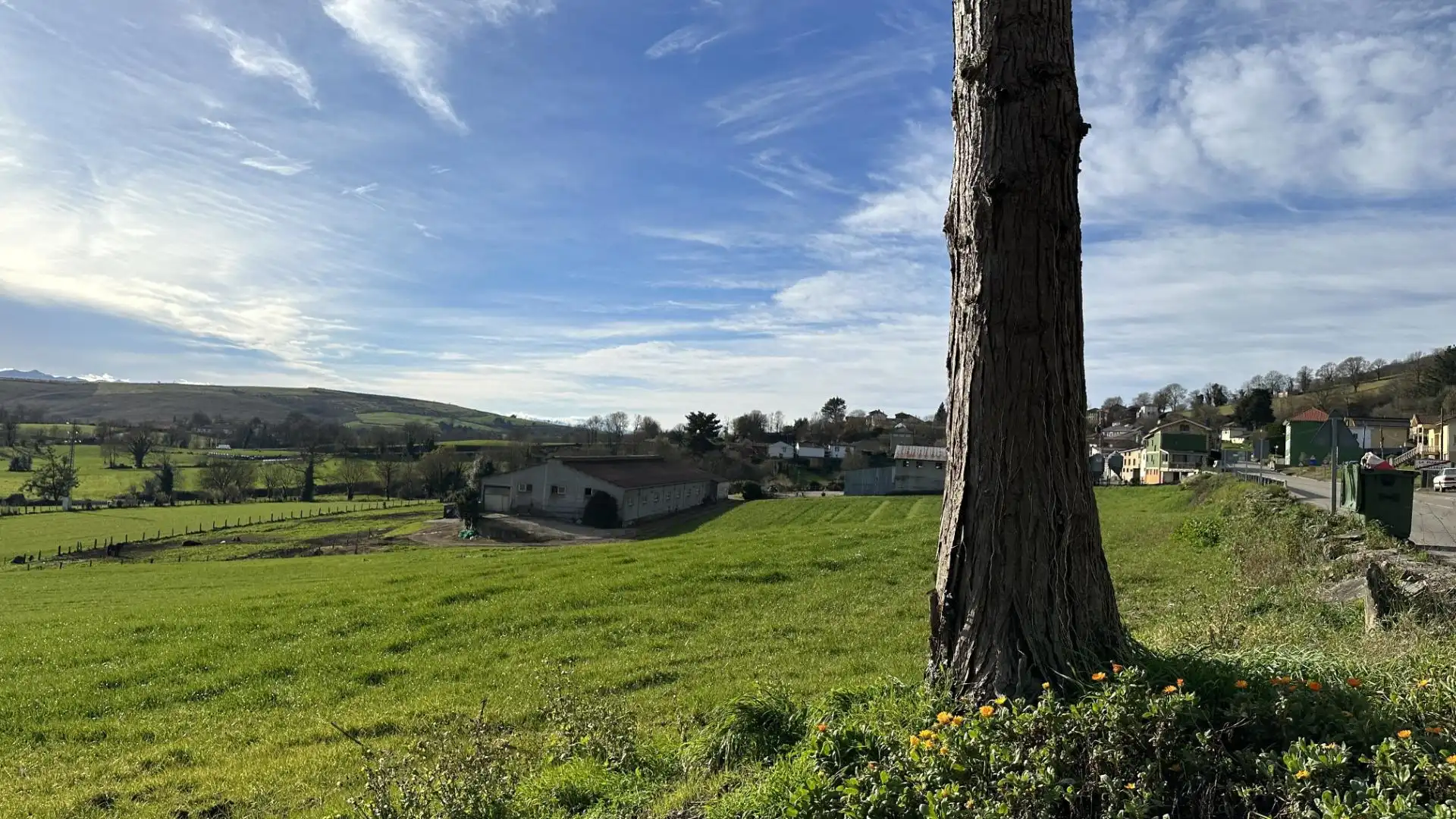 Non-constructible Land for sale in AS-216, 62, Tineo