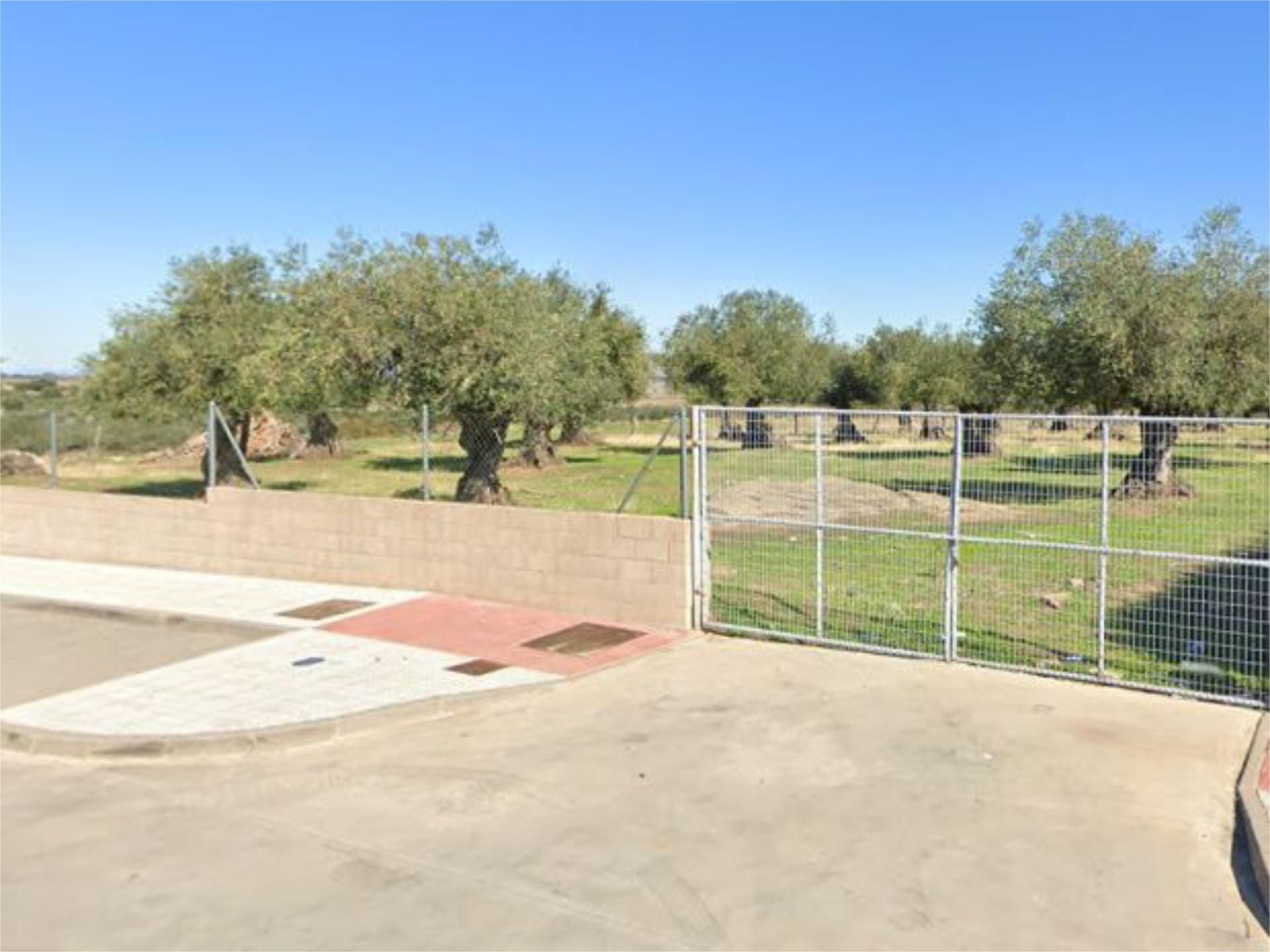 Land for sale in San Vicente de Alcántara