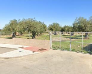 Land for sale in San Vicente de Alcántara