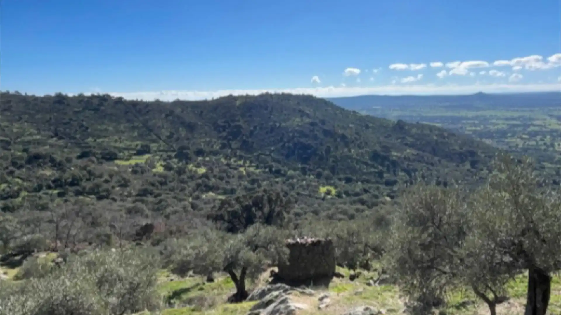 Terreno en venta en Montánchez