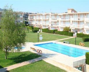 Swimming pool of Flat to rent in Sant Carles de la Ràpita  with Terrace and Swimming Pool