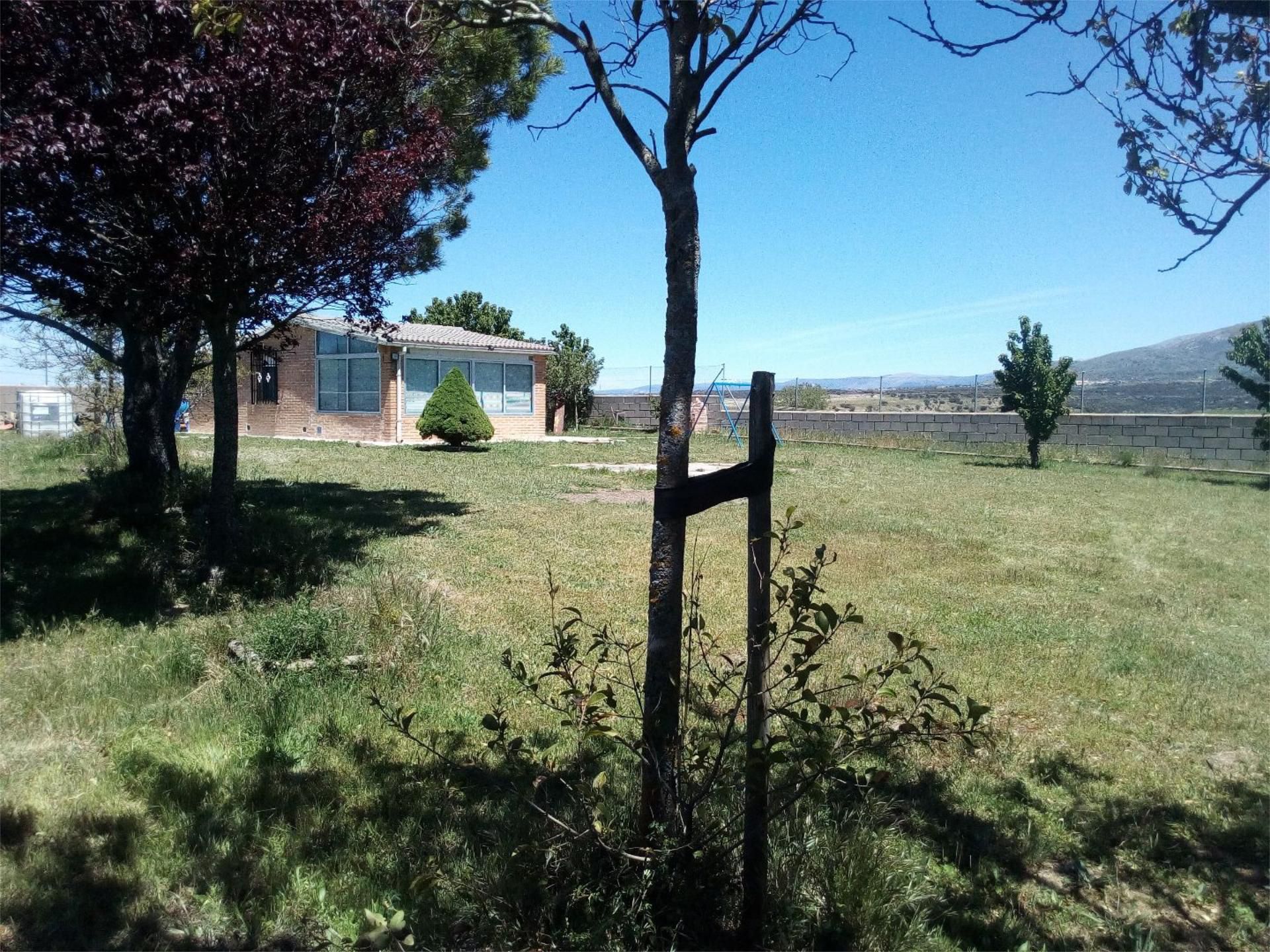 Land for sale in Vegas de Matute