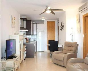 Living room of Apartment to rent in Vícar  with Terrace and Swimming Pool