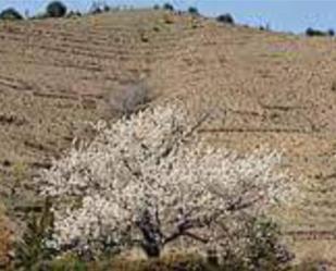 Jardí de No Urbanitzable en venda en Porrera