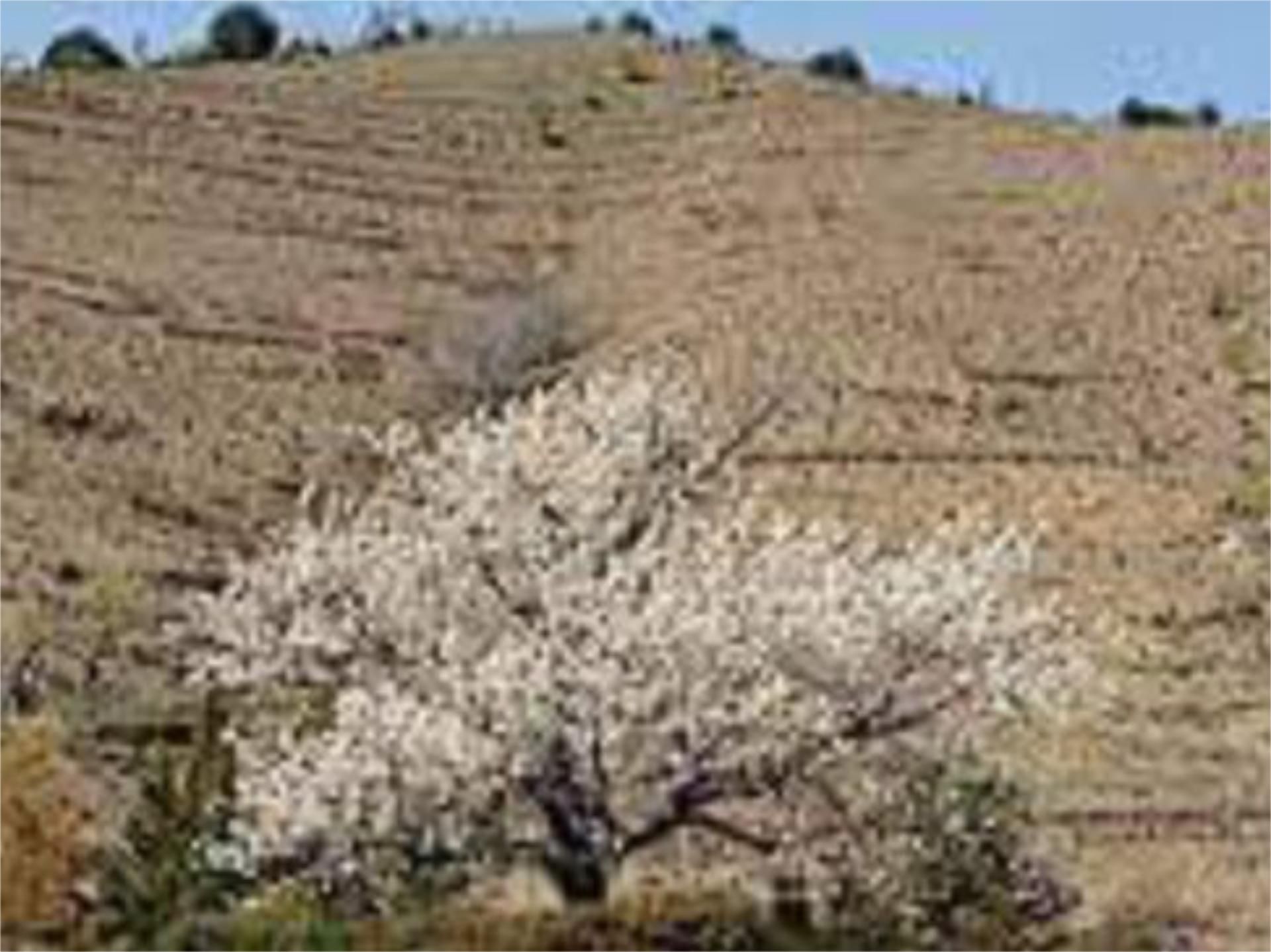 Jardí de No Urbanitzable en venda en Porrera