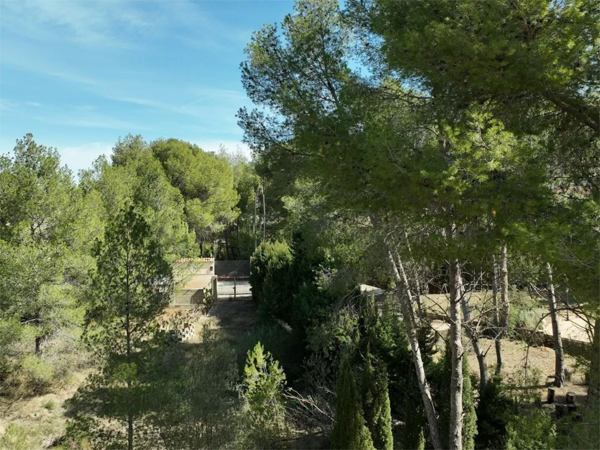 Garden of House or chalet for sale in Chiva