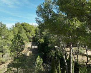 Garden of House or chalet for sale in Chiva