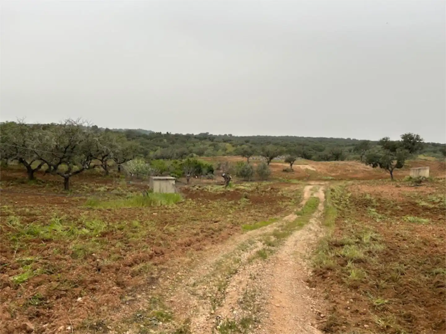 Finca rústica en venda a Diseminado Diseminados, 77, El Cerro de Andévalo Finca rústica en venda en El Cerro de Andévalo amb Piscina