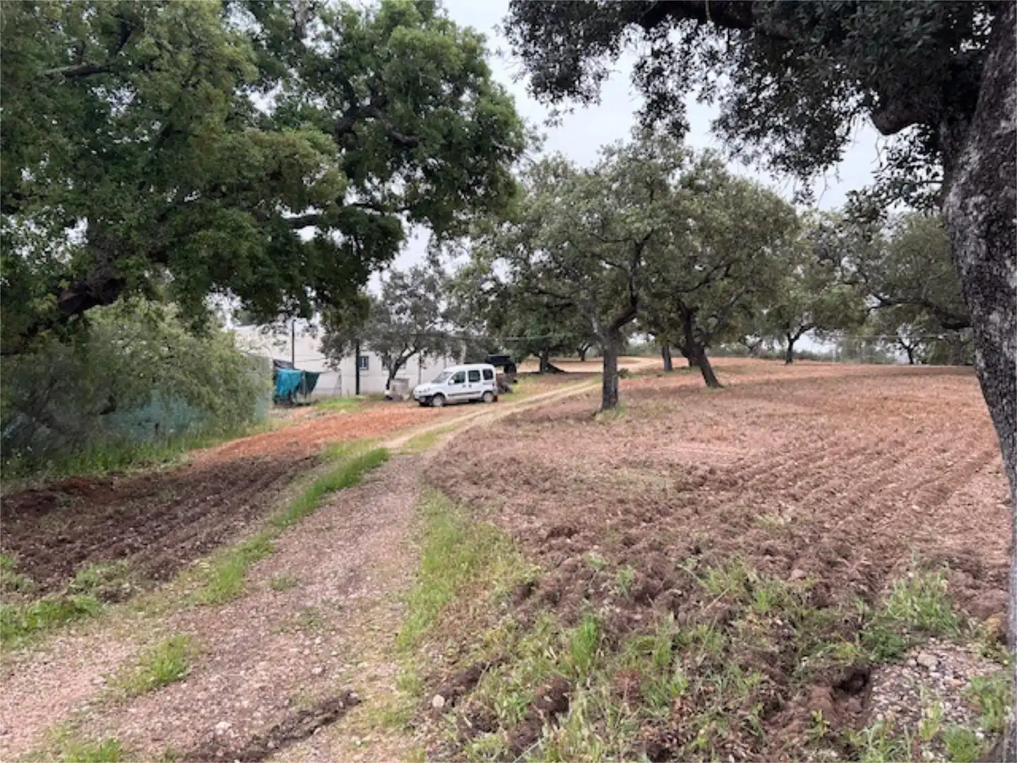 Finca rústica en venda a Diseminado Diseminados, 77, El Cerro de Andévalo Finca rústica en venda en El Cerro de Andévalo amb Piscina