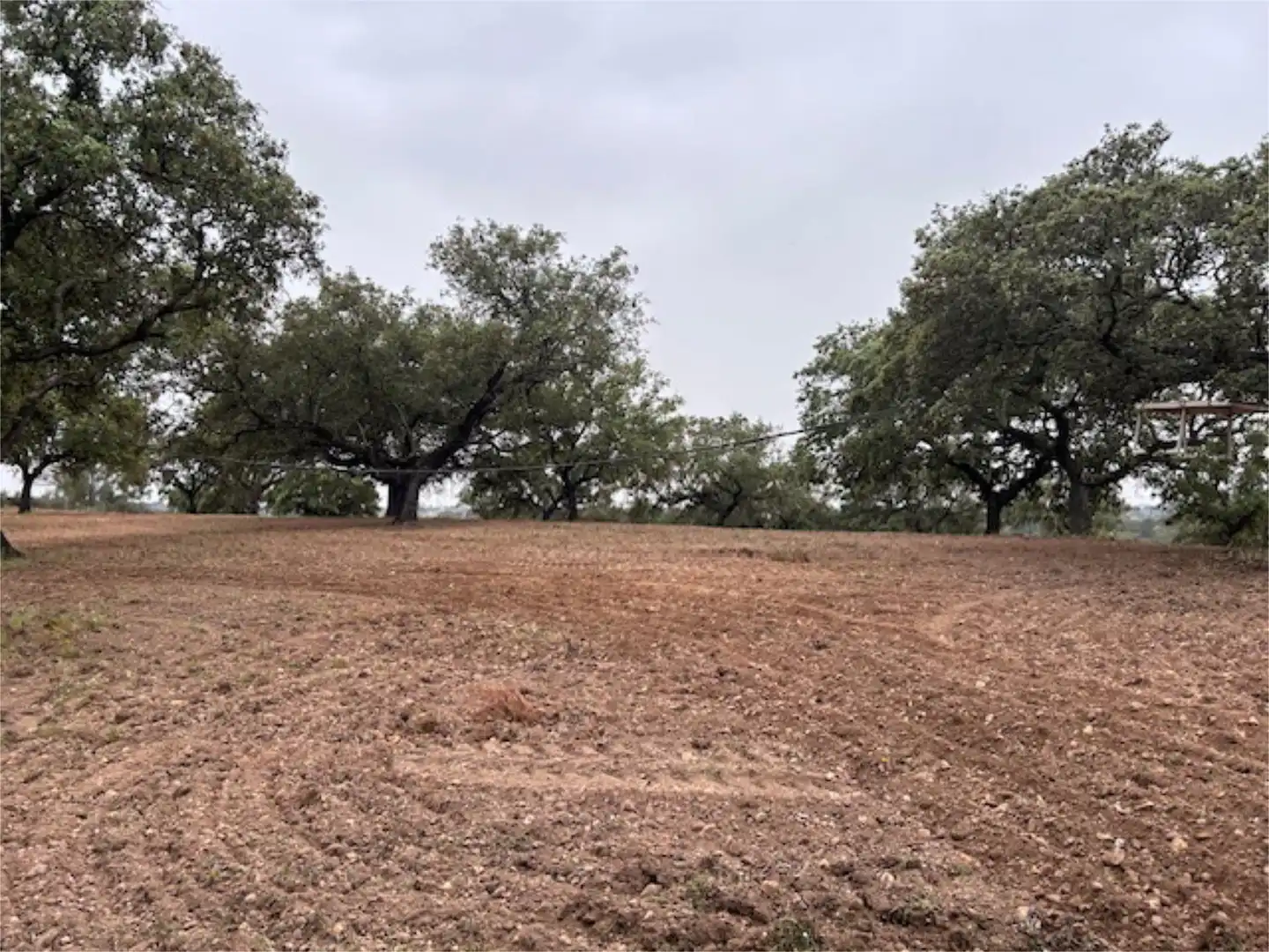 Finca rústica en venda a Diseminado Diseminados, 77, El Cerro de Andévalo Finca rústica en venda en El Cerro de Andévalo amb Piscina