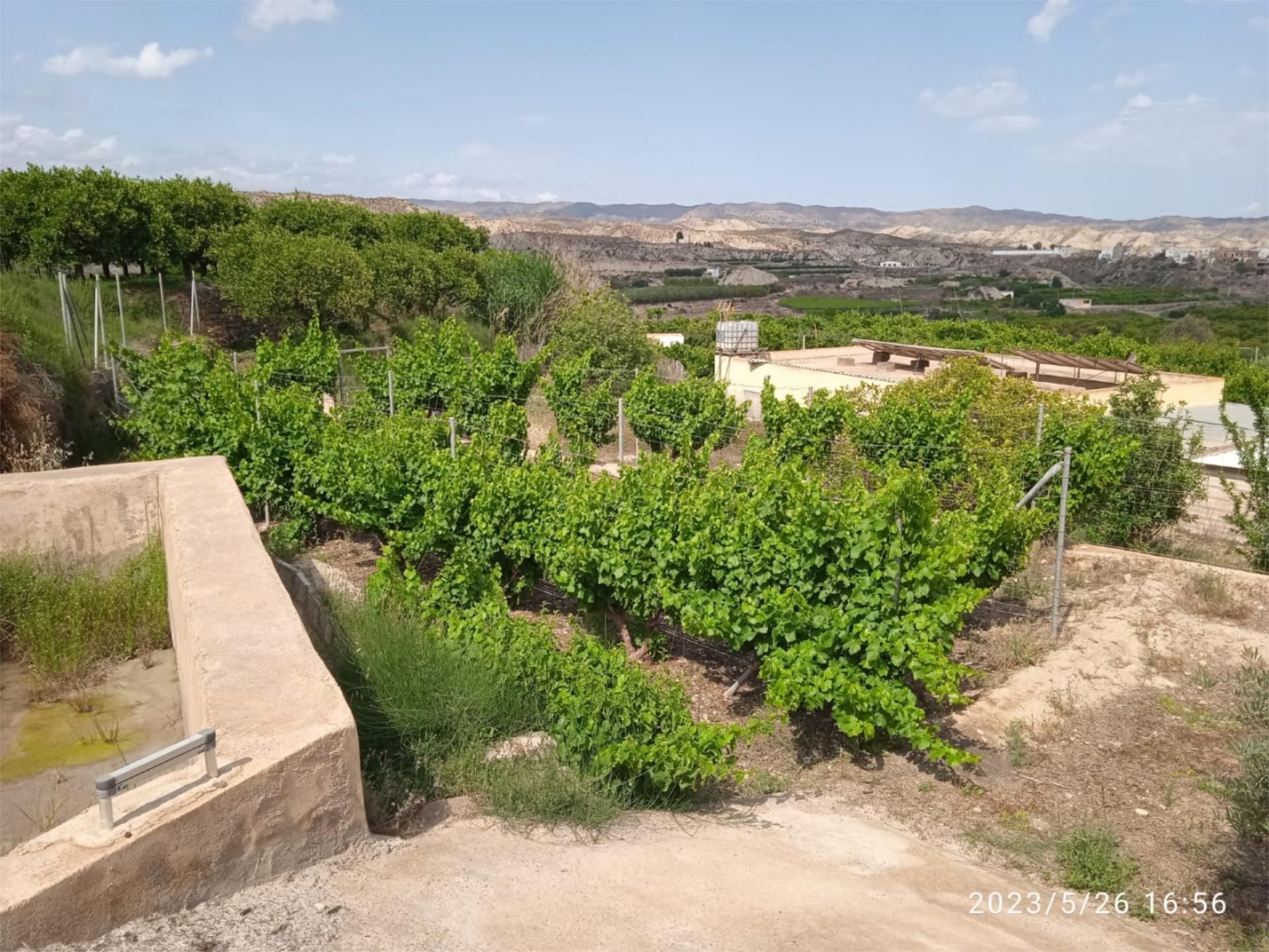 Exterior view of Non-constructible Land for sale in Illar