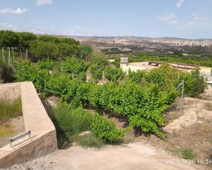 Vista exterior de No Urbanitzable en venda en Illar