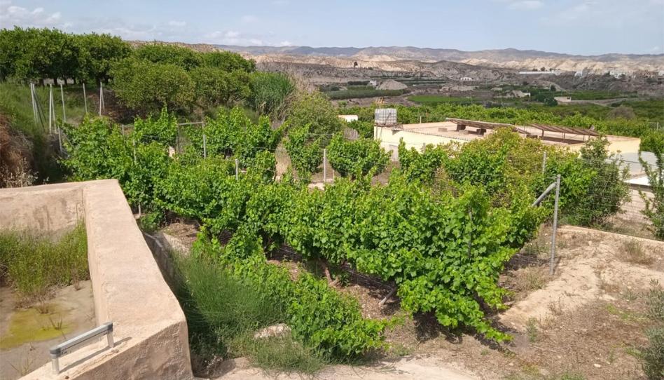 Foto 1 de No Urbanitzable en venda a Plaza Constitución, 10, Íllar, Almería