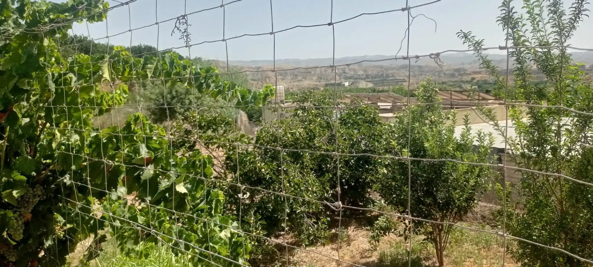 No Urbanitzable en venda en Illar