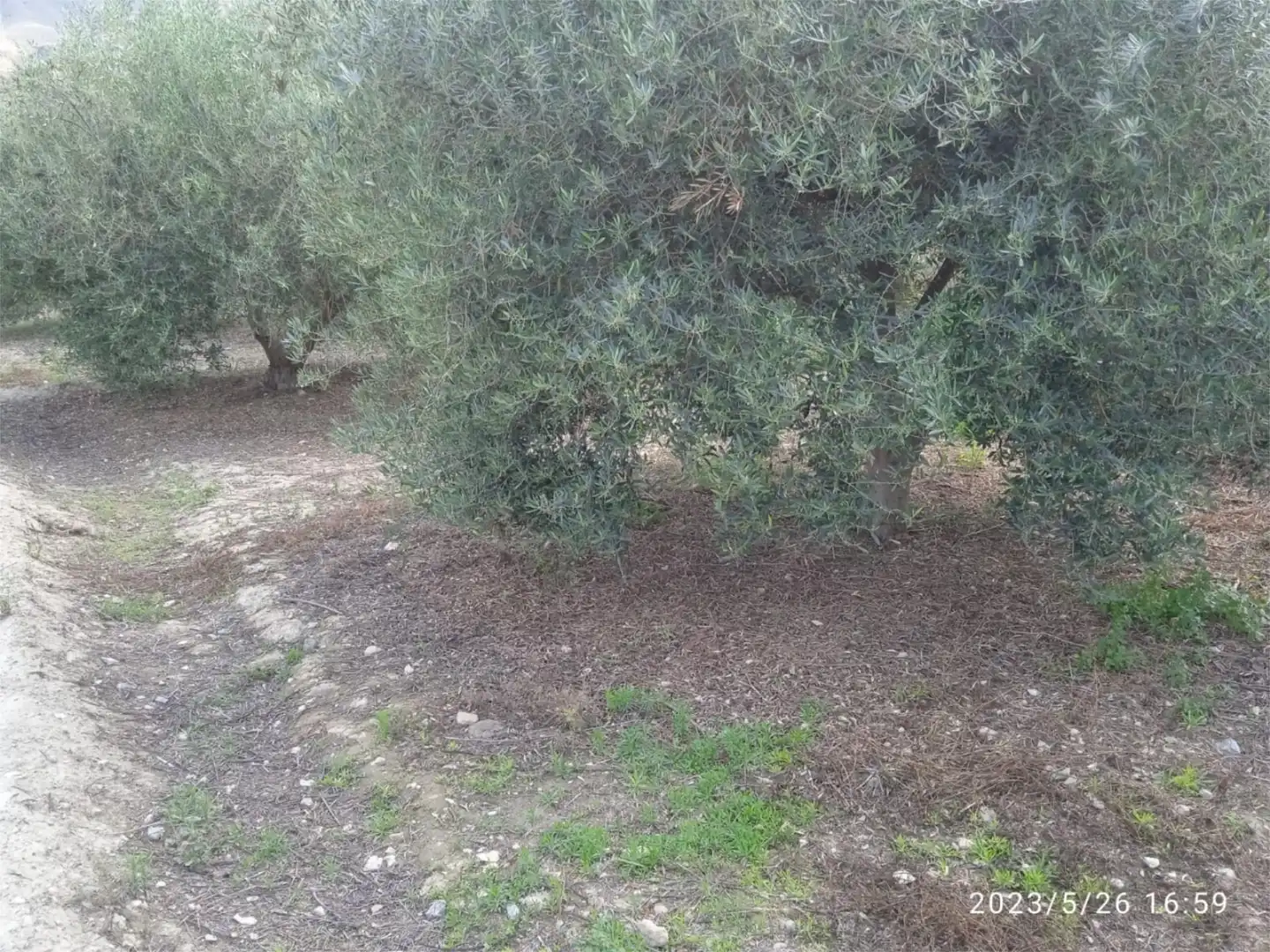 No Urbanitzable en venda en Illar