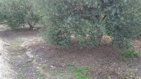 Foto 4 de No Urbanitzable en venda a Plaza Constitución, 10, Íllar, Almería