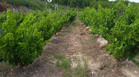 Foto 2 de No Urbanitzable en venda a Plaza Constitución, 10, Íllar, Almería