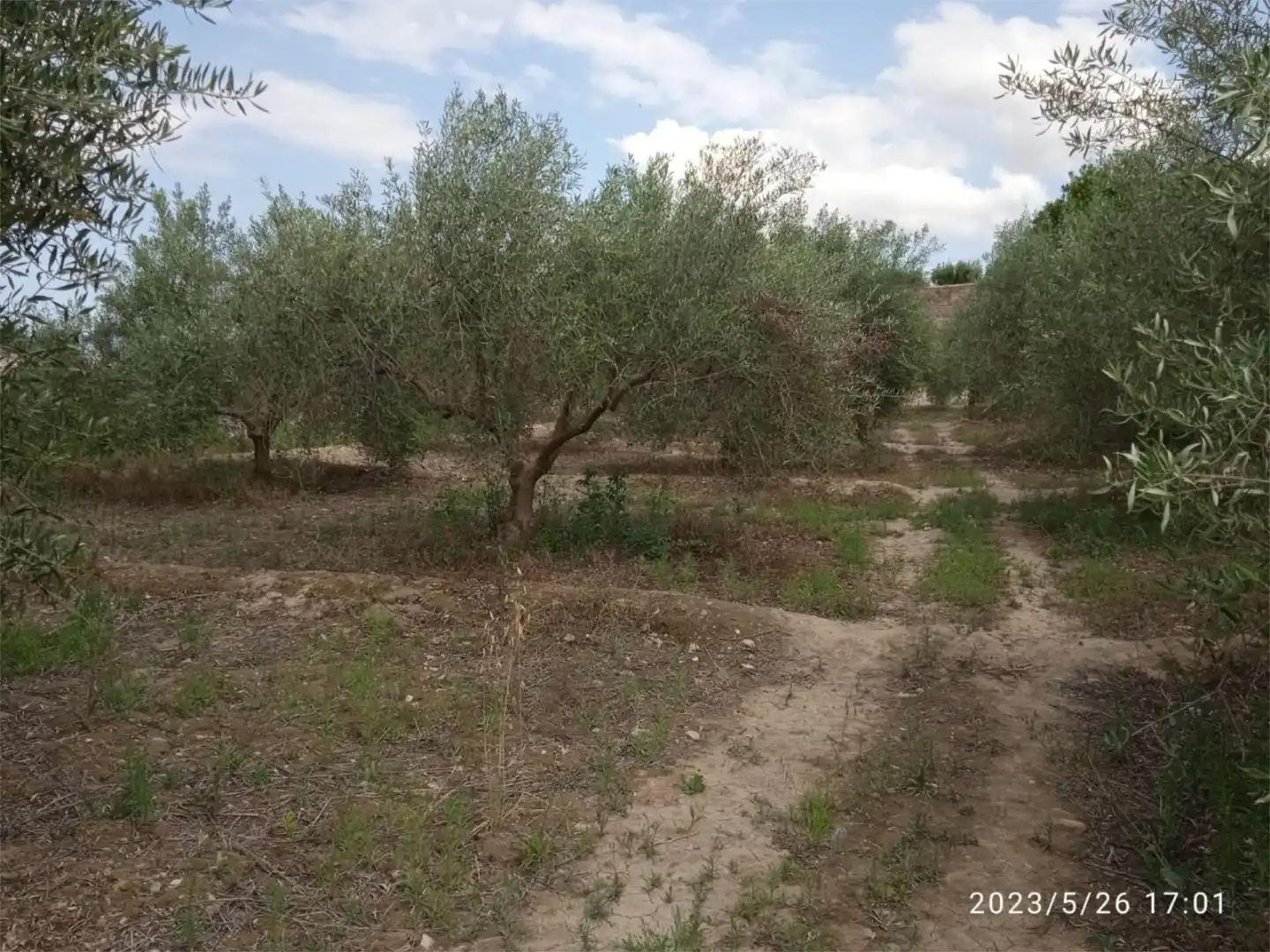 No Urbanitzable en venda en Illar