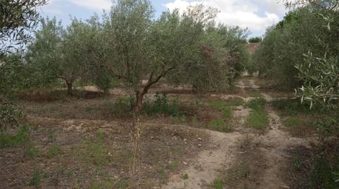 Foto 5 de No Urbanitzable en venda a Plaza Constitución, 10, Íllar, Almería