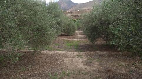 Foto 3 de No Urbanitzable en venda a Plaza Constitución, 10, Íllar, Almería