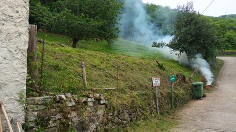 Foto 3 de Finca rústica en venta en Caserio Viescabozada, 9007a, Laviana, Asturias
