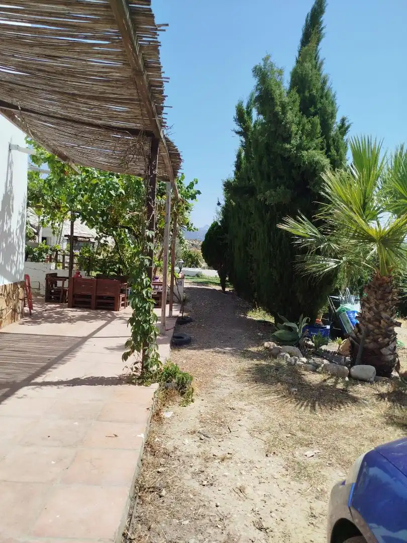 Casa o xalet en venda a Calle Alcalde Juan Ximenez de la Barrera, 14, Algodonales Jardí de Casa o xalet en venda en Algodonales amb Calefacció, Jardí privat i Piscina